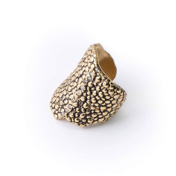 Pisces Ring Lifestyle 185